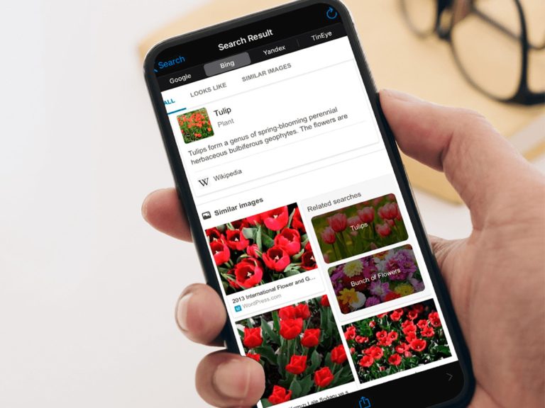 بهترین برنامه‌های سرچ تصویری برای آیفون و اندروید