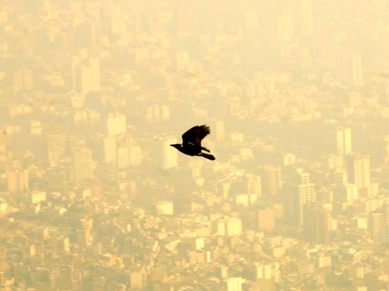 بهترین‌ اپلیکیشن‌های گزارش آلودگی هوا ویژه شهرهای ایران
